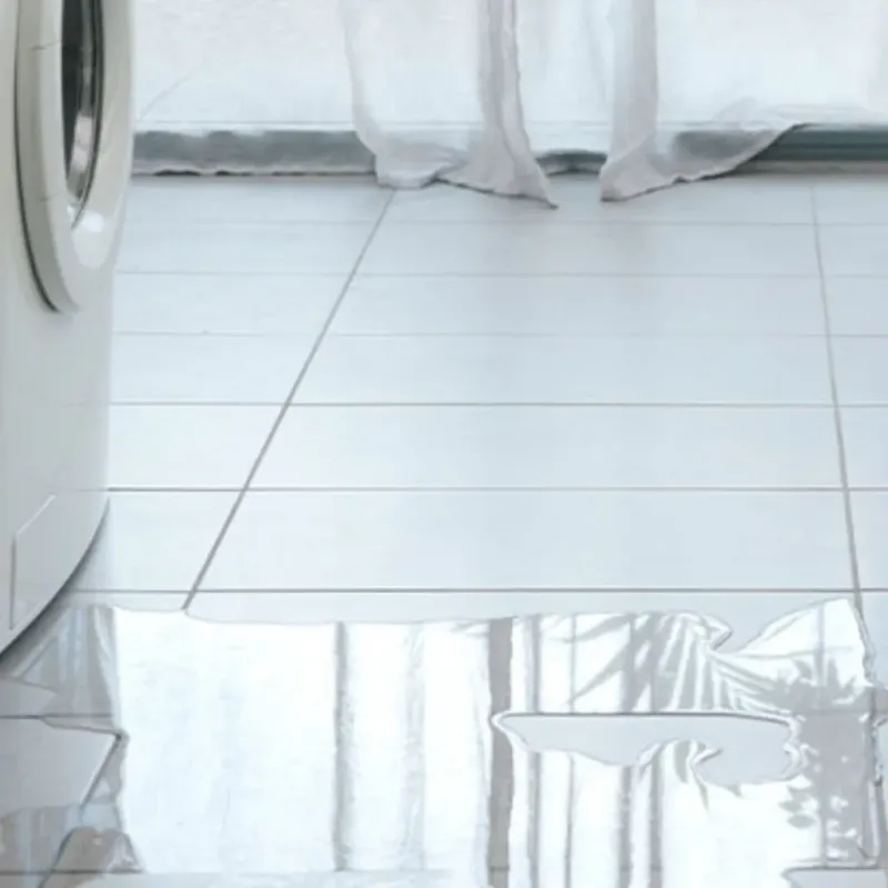 Appliance Leak Cleanup in Fowlerville, MI