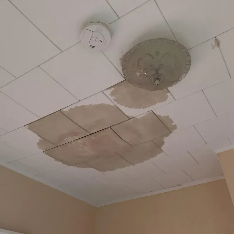 Ceiling Water Damage Repair in Fowlerville, MI
