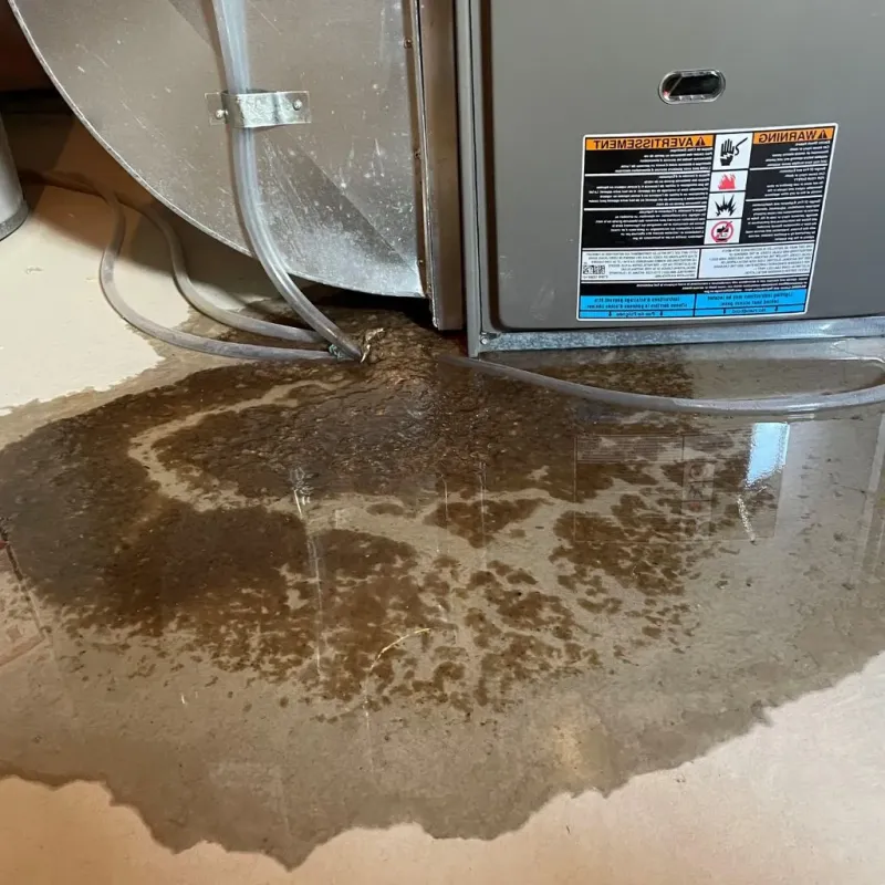 Pipe Burst and Leak Restoration in Fowlerville, MI