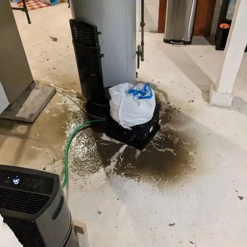 Sewage Backup Cleanup Service in Fowlerville, MI